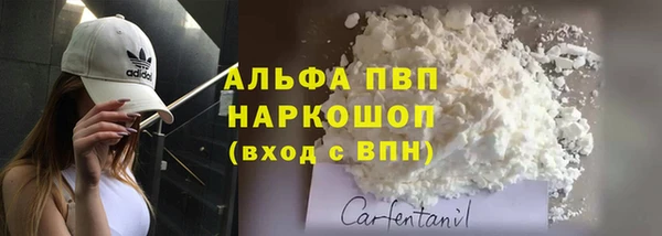 PSILOCYBIN Балабаново